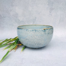 Indlæs billede til gallerivisning Stålgrå bowl mellem - U-formet