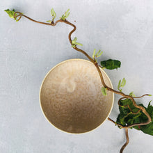 Indlæs billede til gallerivisning Mellem cremefarvet bowl - U-form